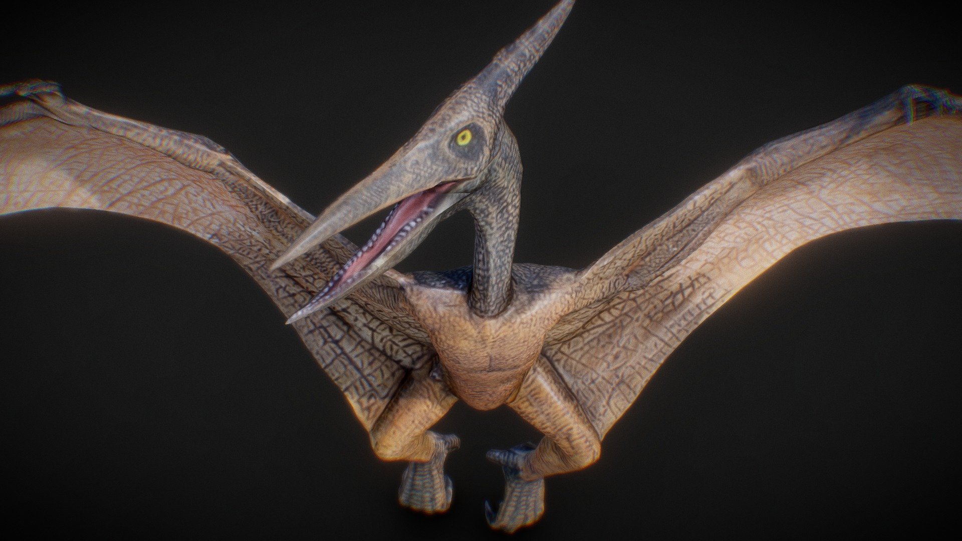 Pterodactylus 3d model