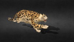 Leopard Animation Run