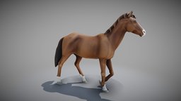 Animated Horse