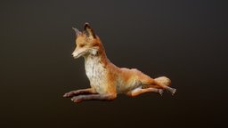 FOX ANIMATIONS