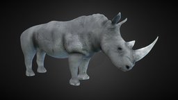 Rhinoceros [Updated]