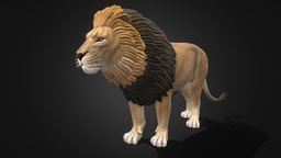 Soth african lion