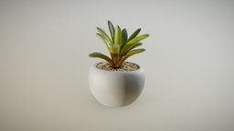 Mini Succulent Pot