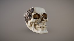 Steampunk Cyborg Skull