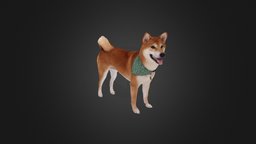 Scanned Shiba Inu Dog 02