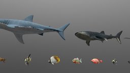 20 models / Fish Pack / Animal Collection