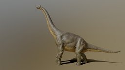 Brachiosaurus (giraffatitan)
