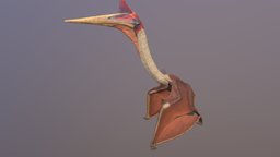 Quetzalcoatlus pterosaur