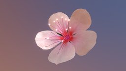 Cherry Blossom_rigged,animated