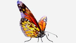 Butterfly Orange Low Polygon Art Insect