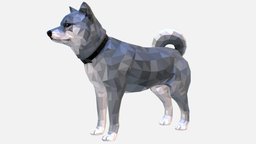 Dog Grey Low Polygon Art