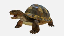 Low Poly Art Turtle Reptile