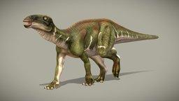 Iguanodon Bernissartensis
