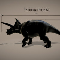 Size comparison : Triceratops Horridus / Human
