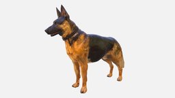 Shepherd German Low Polygon Art Dog Animal
