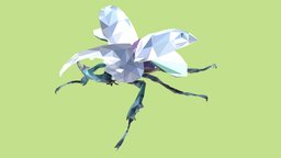 Low Poly Art Giant Beetle Rino Insect