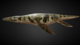 Ocean Pliosaur Mosasaurus