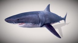 Great White Shark with UE4 & Octane Support