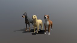 Low Poly Cartoon Dog Pack 3D Model Collection