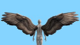 Dark-Angel-Wings + Human-Base-Mesh