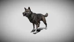 Wolf with animations