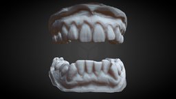 tooth (3d scan)