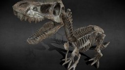 Dinosaur bone (PBR texture)