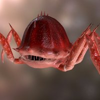 Crab Creature