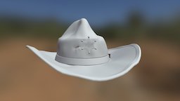 Wild West Cowboy Hat