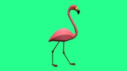 Flamingo AESTHETICS