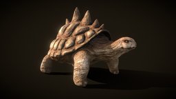Sand Turtle Animated