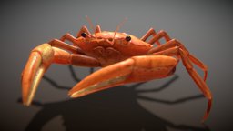 Animated crab