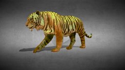 Tiger rigged with many different animations