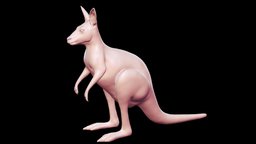 Kangaroo Base Mesh 3D Model