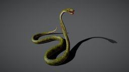 Snake (Boa)