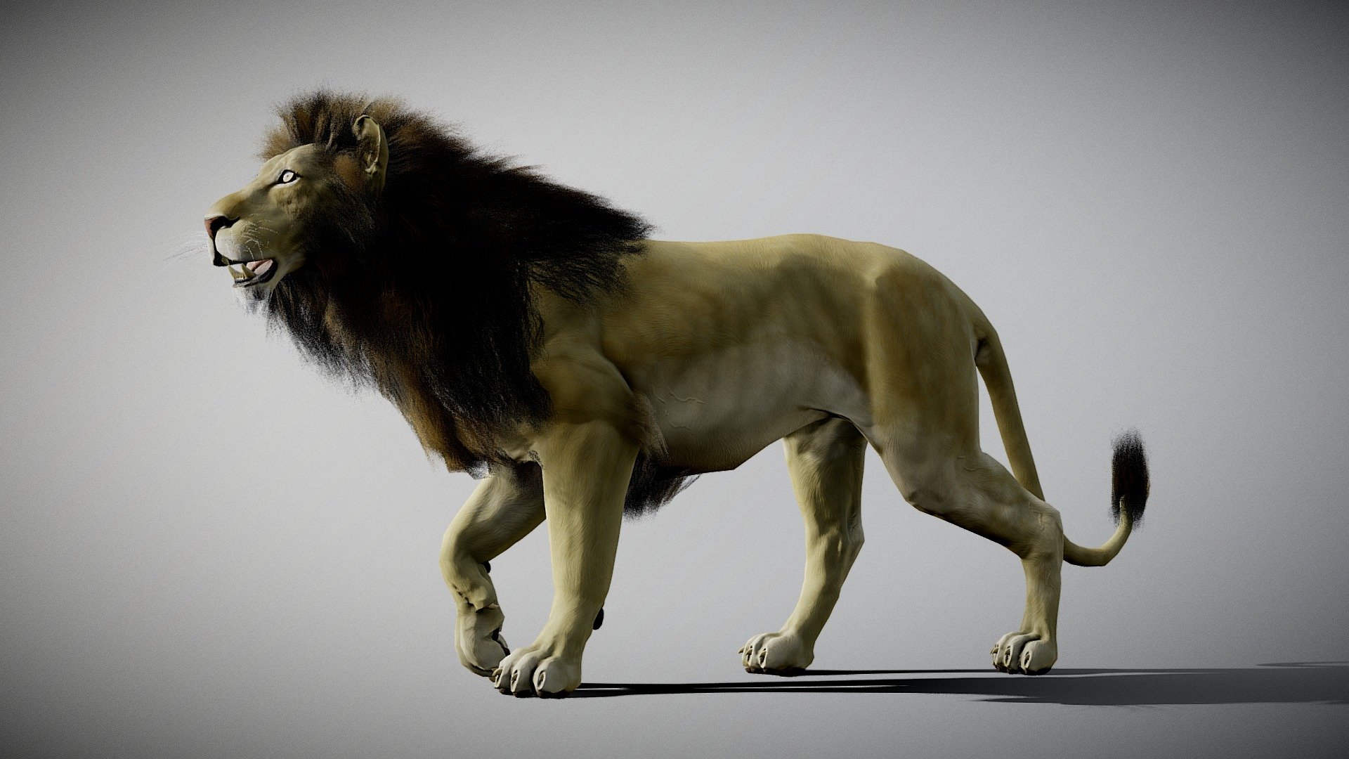 Lion (free for Christmas) 3d model