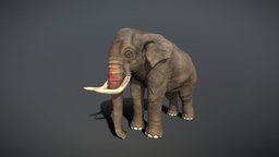 Elephant Indian (For Animation and Game)