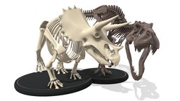 Tyrannosaurus Triceratop Skeleton