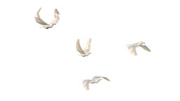 Animated White Doves Lowpoly Art Style