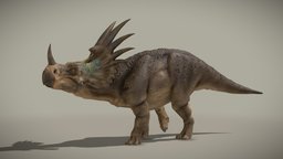 Styracosaurus A. (Rigged / animated v.)