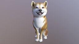 Shiba Inu Dog