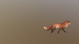 FOX RIGGED