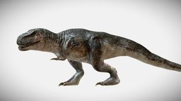 Tyrannosaurus Rex Rigged Animated