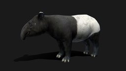 Low Poly Malayan Tapir