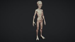 Alien Humanoid