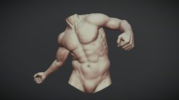 Torso With Arms 5