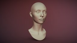 3D Printable Female Head 14