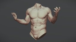 Torso With Arms 1