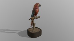 Cuban macaw / parrot for interior decoration