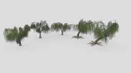 Weeping Willow Tree Pack-P1